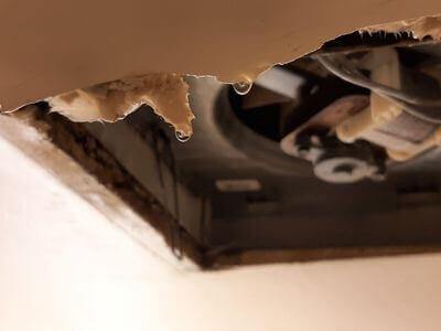 Professional water damage restoration services in Miami